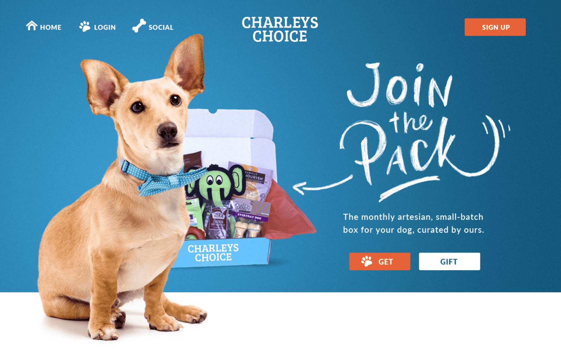 Pet subscription website design combining serif and handwritten-style typography to create visual hierarchy and communicate brand personality online.