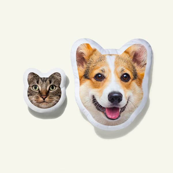 Custom pet face pillows of different sizes: dog and cat