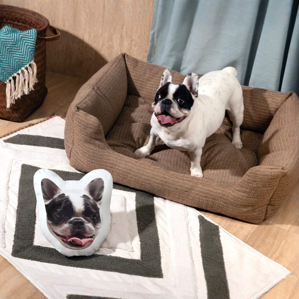 A french bulldog stood on its bed with a photo pet face pillow on the floor.
