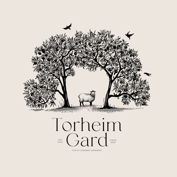Torheim Gard etched emblem logo trend of a sheep and trees