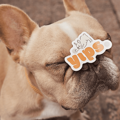 Adorable puppy with a colorful dog-themed logo sticker on its nose – a fun example of logo inspiration.
