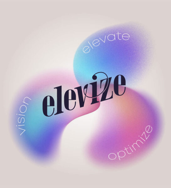 Elevize editorial font style