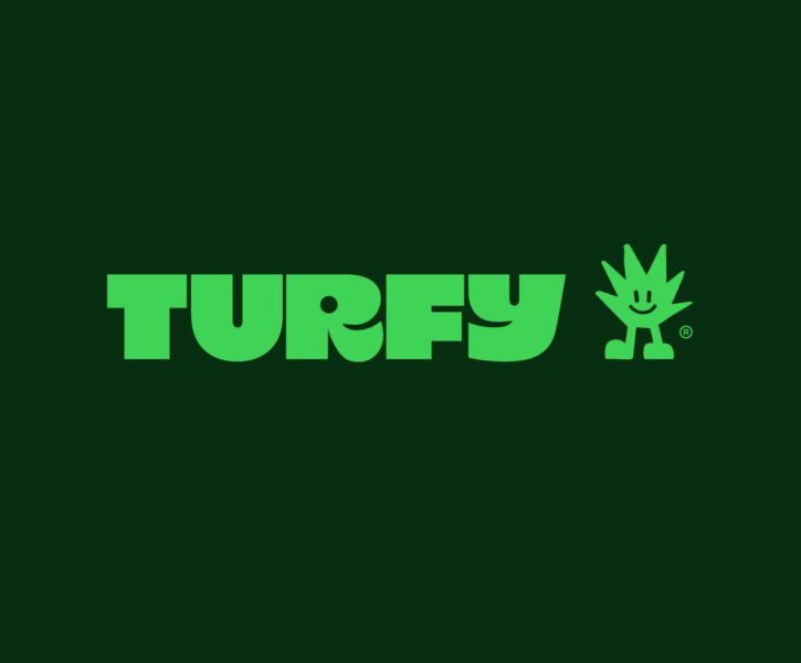spiky green mascot logo design