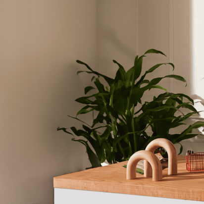 small business owner proudly displays custom print marketing materials