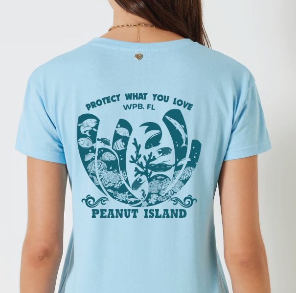 blue and teal T-shirt design T-shirt color combinations