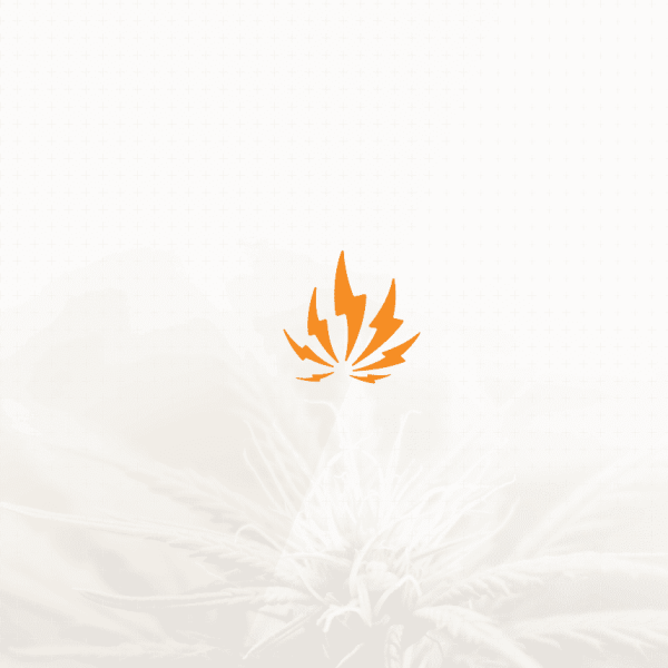 Lightning bolt logo for electric company