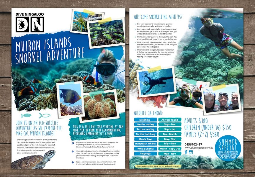 Flyer design idea for Dive Ningaloo snorkelling company using photography