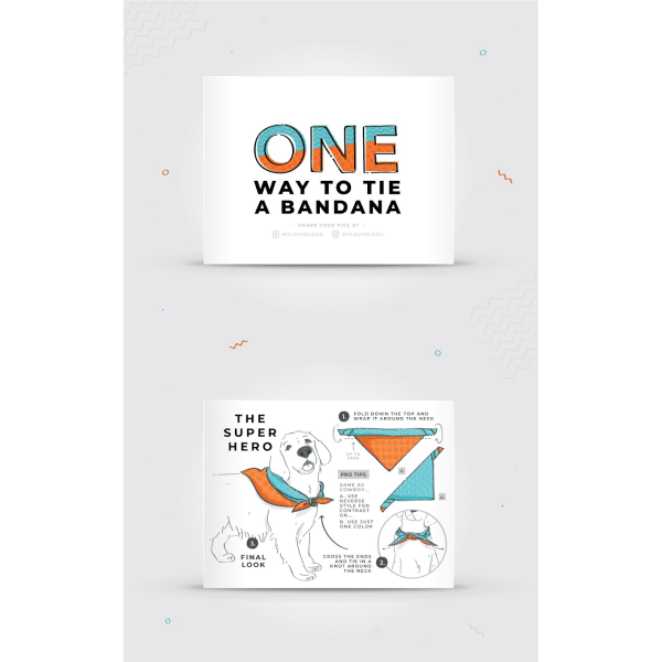 Flyer insert design idea for a pet product