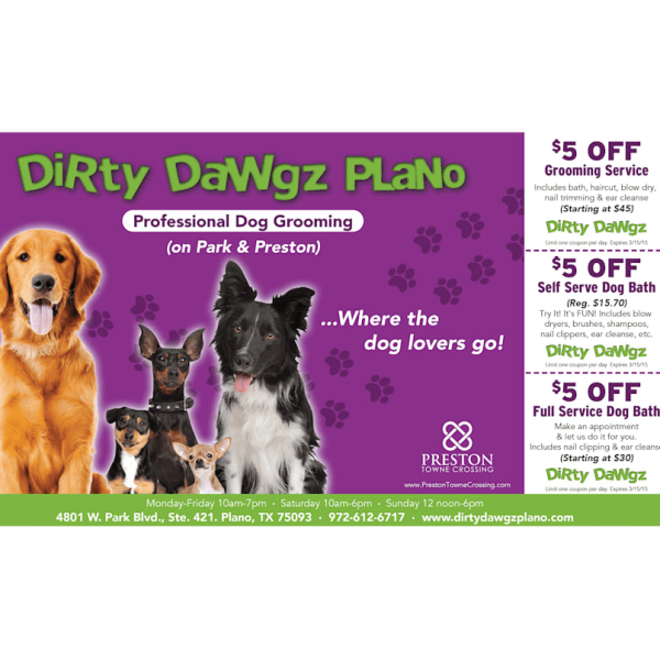 Promo dog grooming flyer design idea