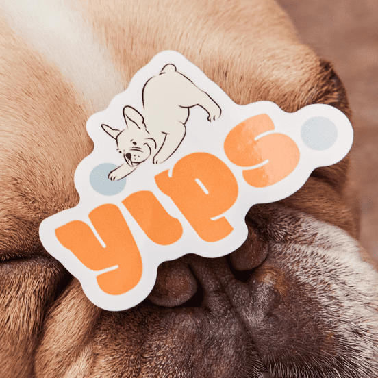 Fun and quirky logo design with mascot