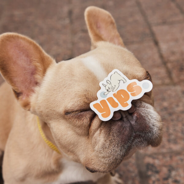 A friendly and youthful logo that uses the color orange