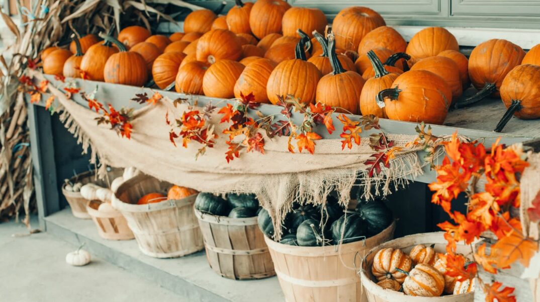 Thanksgiving and Halloween holiday preparations. Colorful pumpkins in baskets by store on farm. Autumn fall harvest. Store outdoor decoration. Multicolor fresh seasonal vegetables.