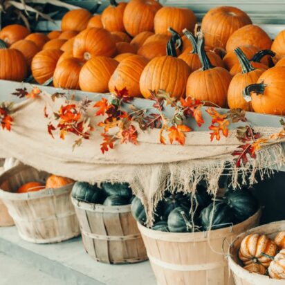Thanksgiving and Halloween holiday preparations. Colorful pumpkins in baskets by store on farm. Autumn fall harvest. Store outdoor decoration. Multicolor fresh seasonal vegetables.