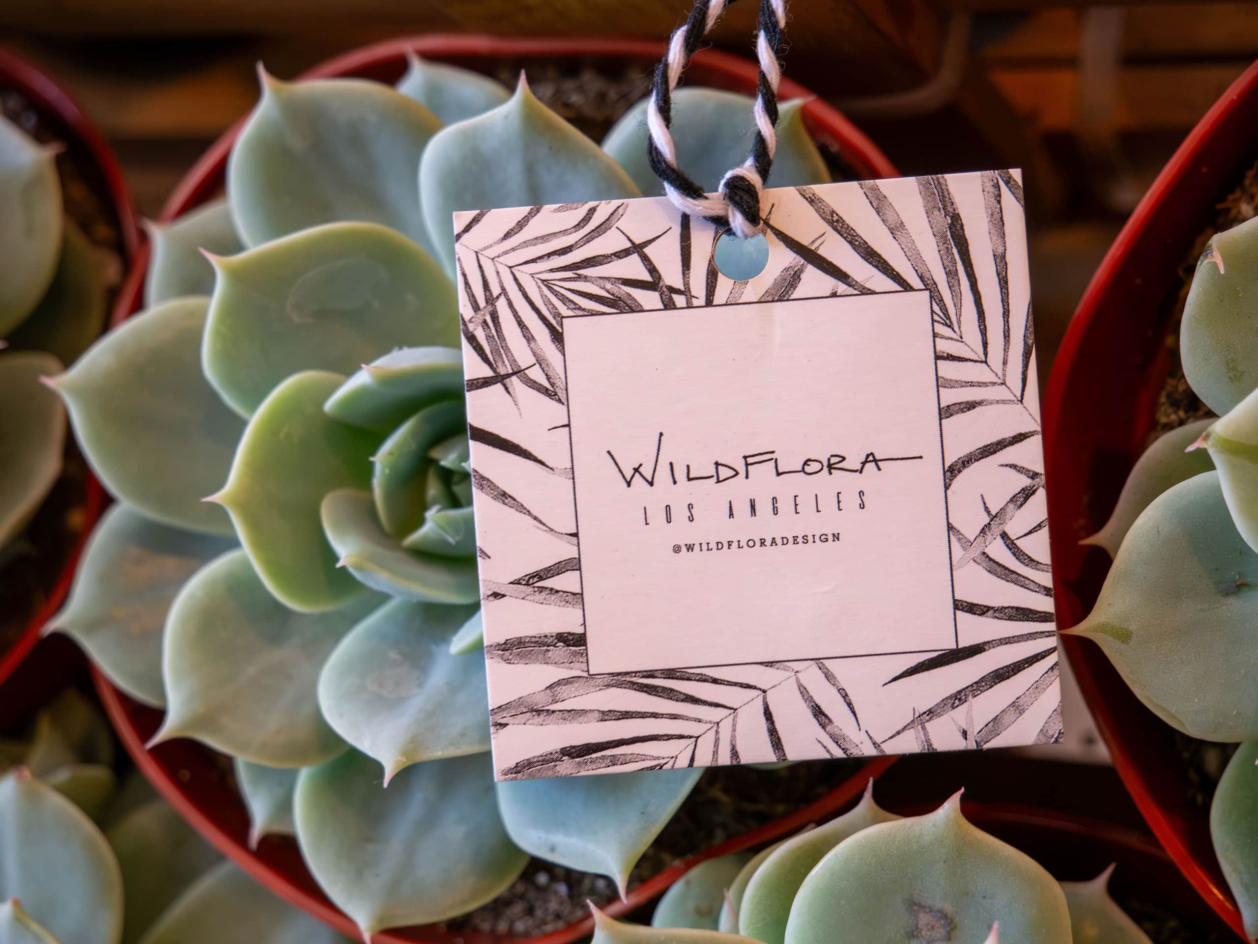 Florist business graphics, elements of branding