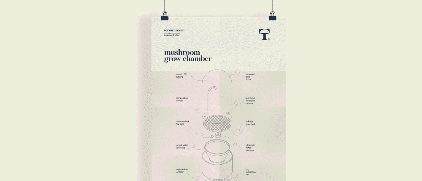 White and beige poster with an infographic explaining the structure of the mushroom grow chamber, featuring the brand logo at the top right