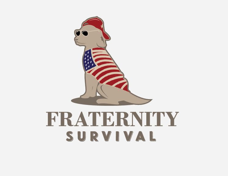 Simple shape of Golden Retriever wearing a US flag around its body, a backward baseball hat and aviator sunglasses.