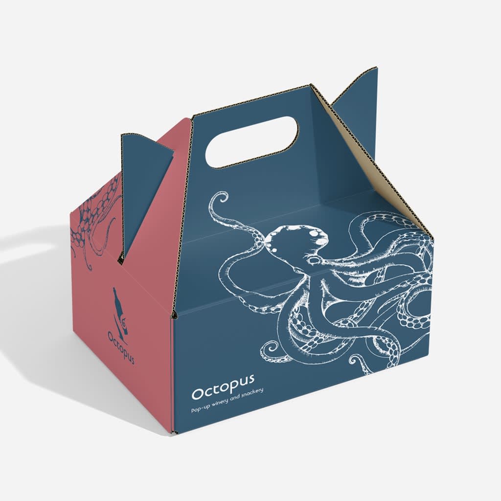A blue and pink gabled cardboard box design with octopus illustration and a handle at the top.