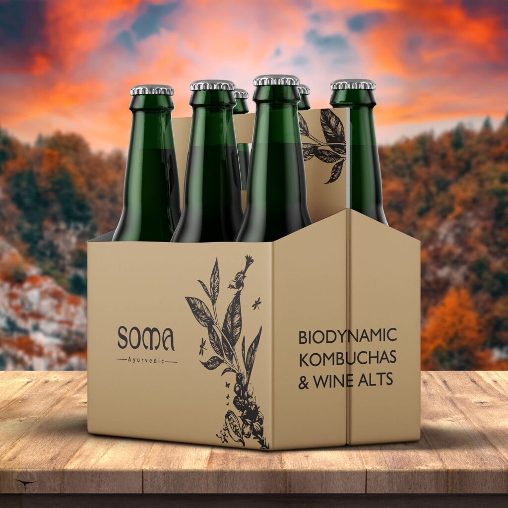 Shelf-ready kombucha packaging featuring a minimalist cardboard bottle carrier with branded biodynamic drink bottles on display.