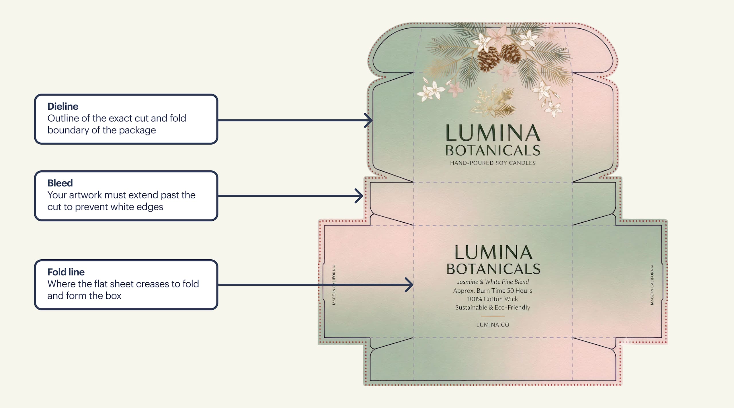 unfolded box showing the dieline as the cut or fold template and the bleed as the extra artwork area extending beyond the final trim