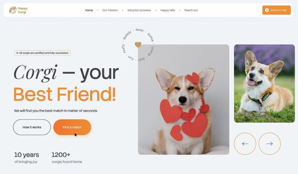 A bright orange and light gray landing page color contrast example, a Corgi adoption services website.