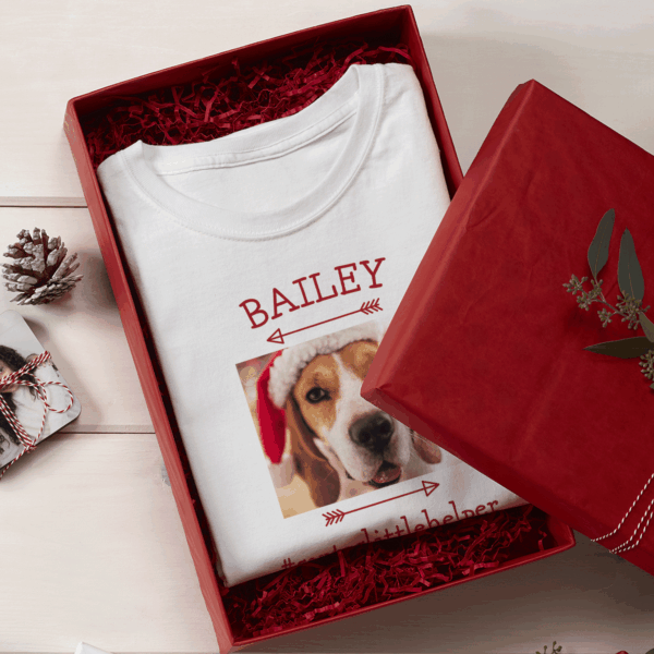 Gift ideas for pet lovers
