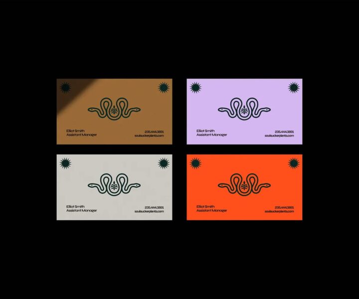 Styles de cartes de visite color&eacute;es tendance en 2026