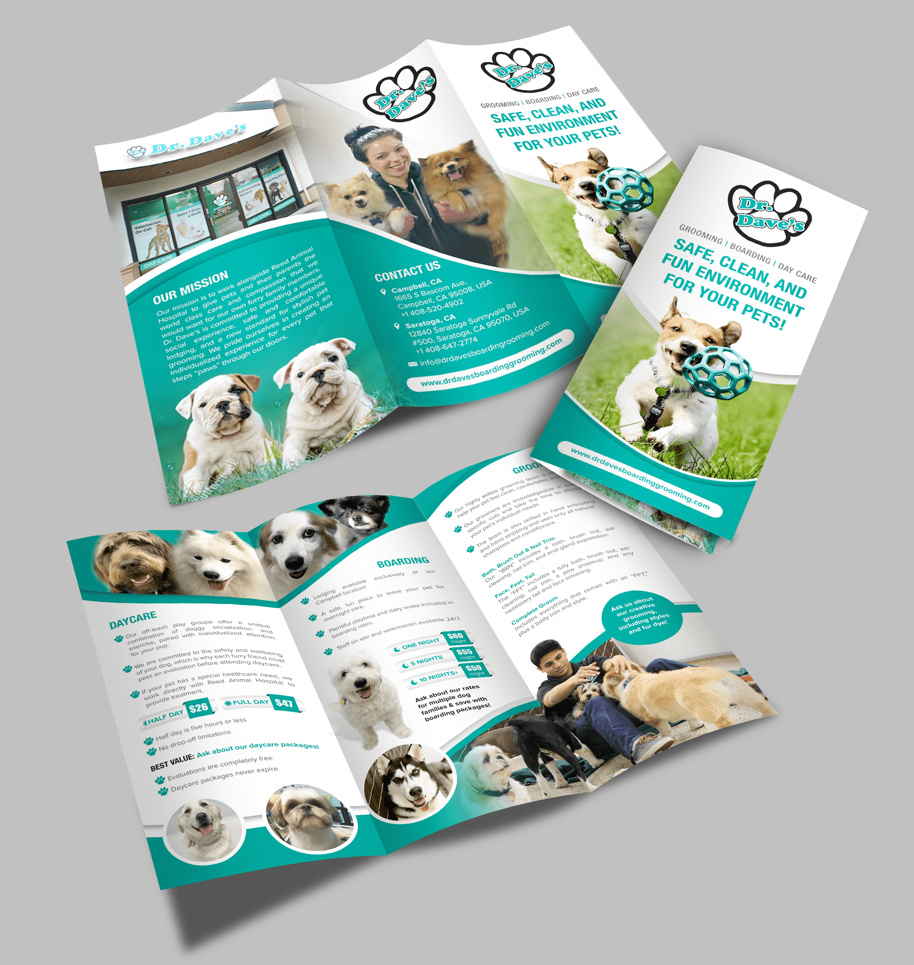 Dr. Dave&rsquo;s brochure